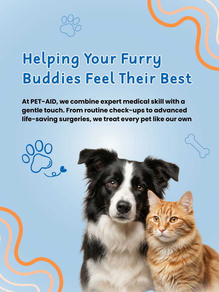 PET-AID banner mobile image