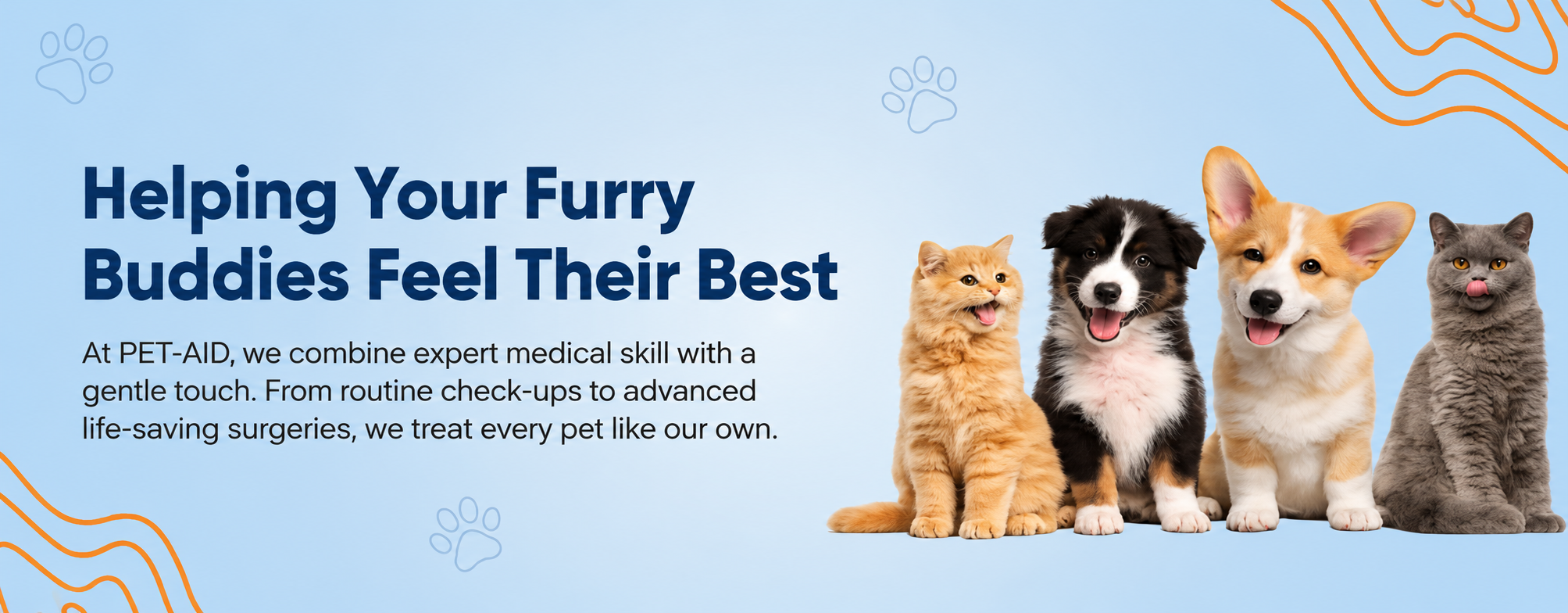 Pet Aid banner